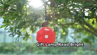 Lampu hadiah, lampu baca
